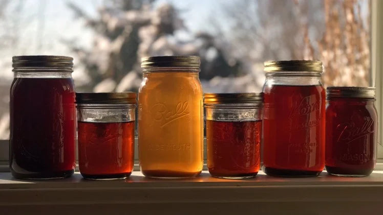 Five Avoidable Mistakes When Maple Sugaring
