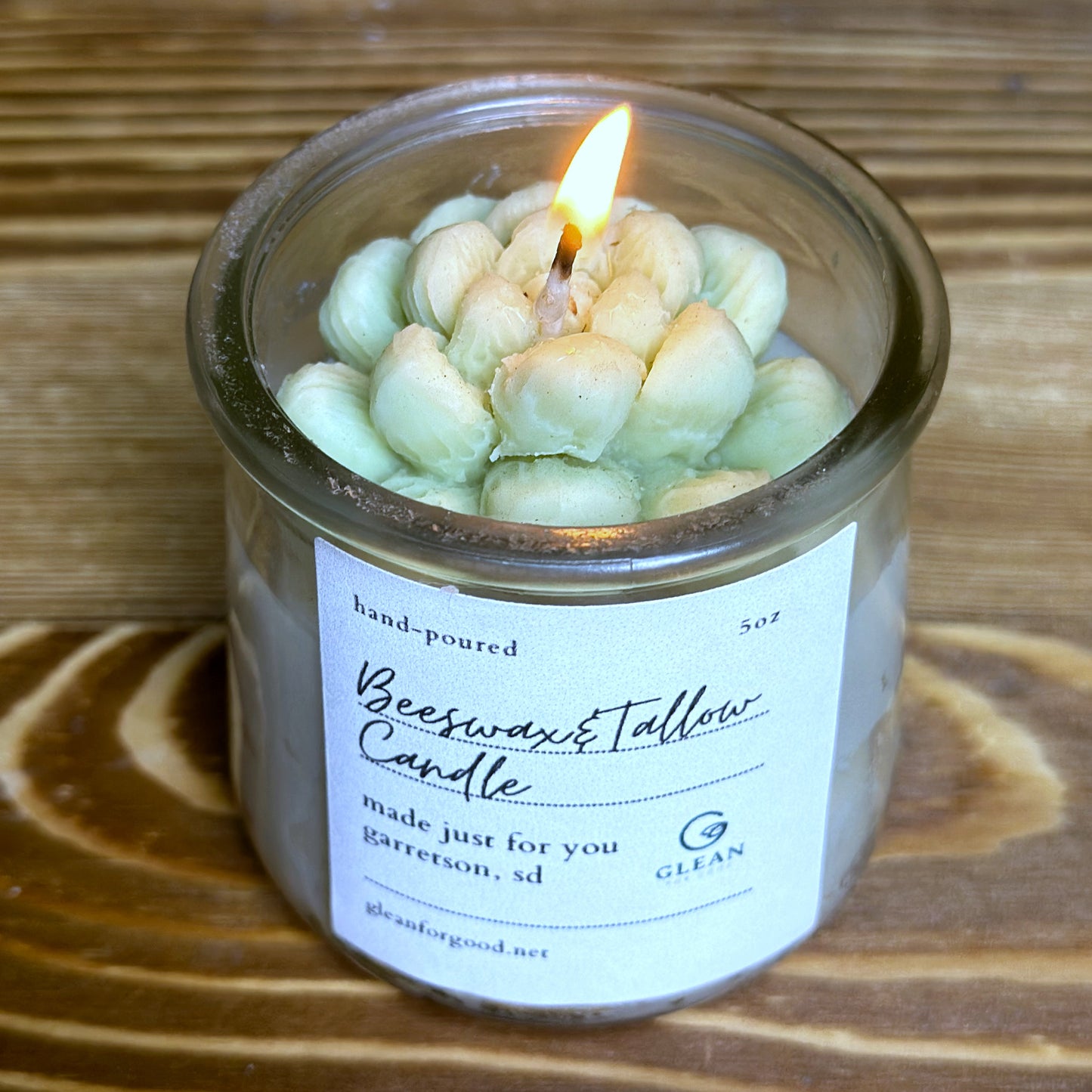 Succulent Candle